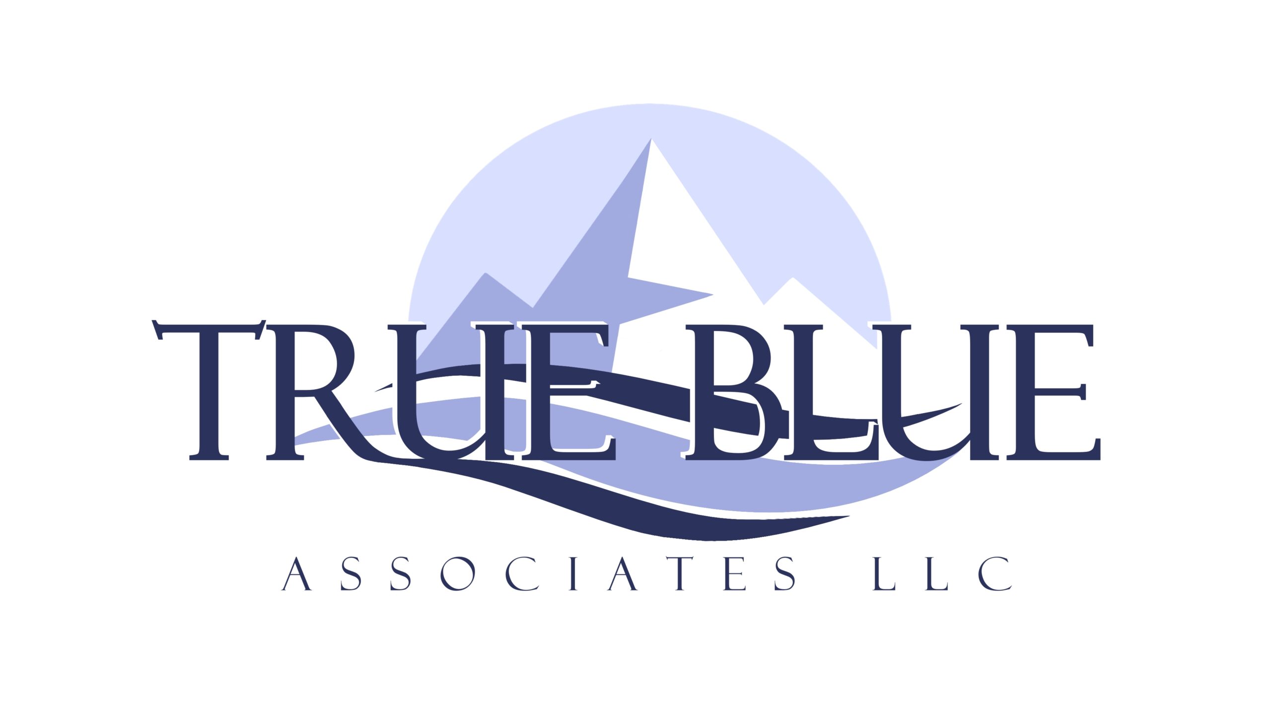 True Blue Associates LLC is a campaign consulting firm located in Anchorage, Alaska.